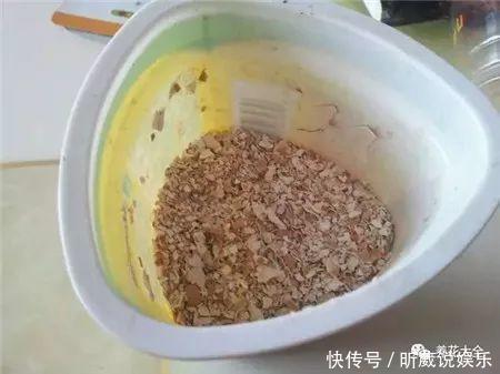 4种垃圾不会分类别担心，埋在花盆底，叶子绿得直滴油！