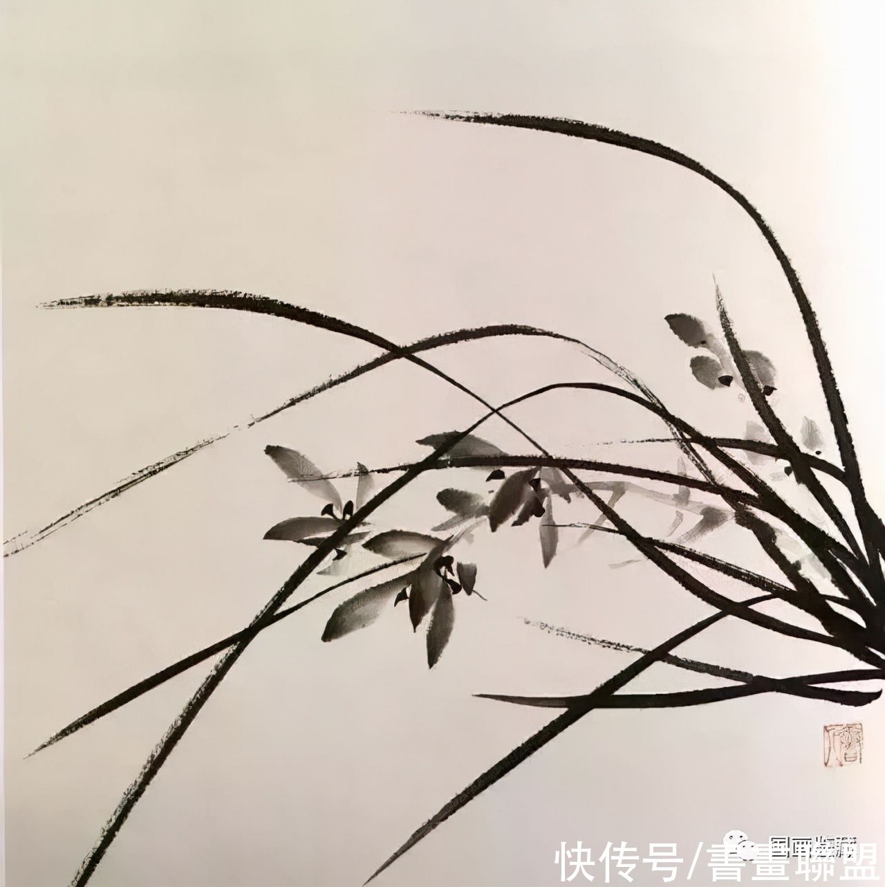 兰叶@国画兰花绘画技法，怎样画兰，兰与竹的组合画法教程