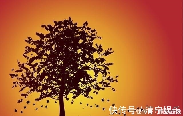 胜春朝!人生不称意时,不妨读读刘禹锡这首千古名作,读完顿觉神清气爽