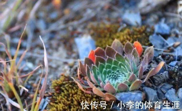 肉肉|要想成为一名合格的肉友,你还需要知道这些黑话