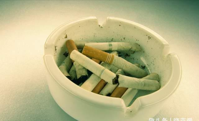 自制|夏季养花“爱生虫”，自制“4种水”驱虫，虫子全死光