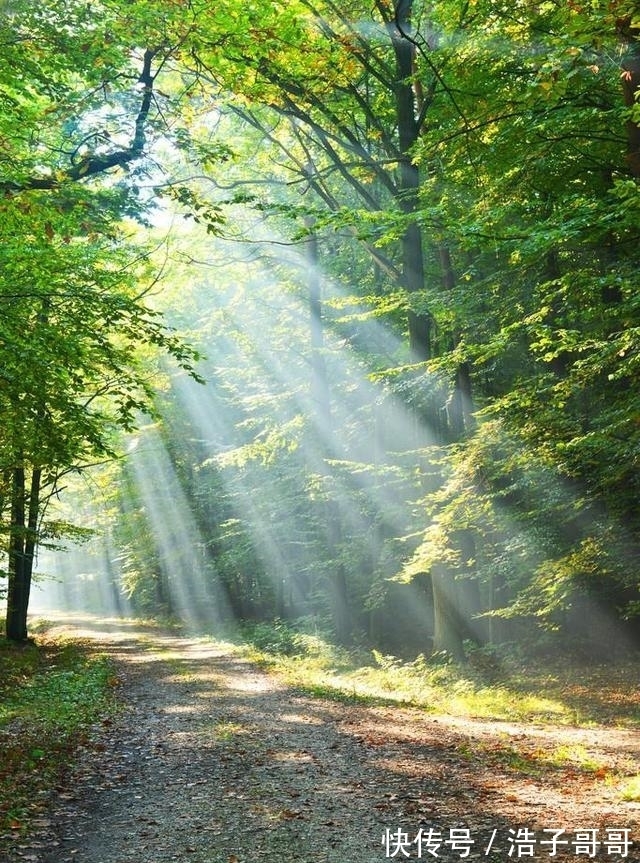 诗人#禅意人生:诗佛王维,九首著名的诗,极富禅意,值得品味、收藏