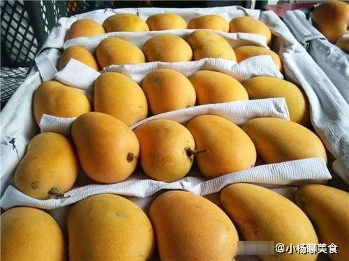 聪明人专挑这4种芒果买，个个鲜嫩多汁，果核小果肉多！