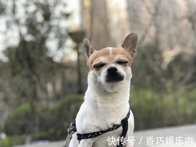 降压药|骗术了得,我老师都上当了,医生:揭秘高血压疾病的8大骗局