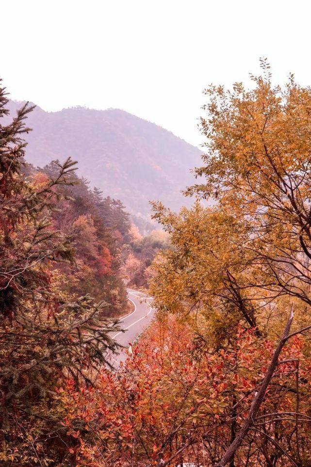 叫板川藏线、美过香格里拉，这条皖西马丁公路，藏尽美景，却少有人知