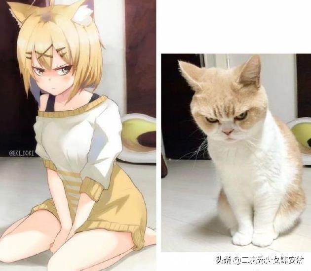 现实|二次元场景VS现实场景,果然平行时空的存在是有大大的可能的