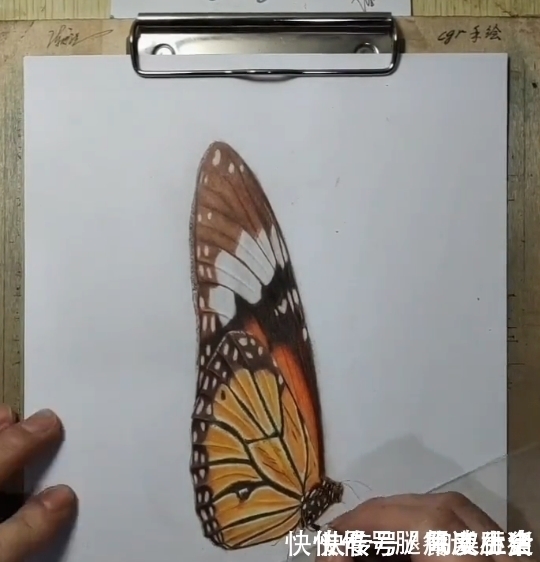 手绘3D#美术生手绘3D蝴蝶，成画惊呆众人，粉丝：传说中的蝶舞翩翩？