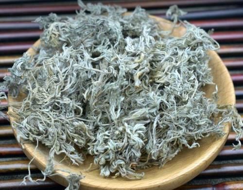 茵陈|中药古今研究：茵陈