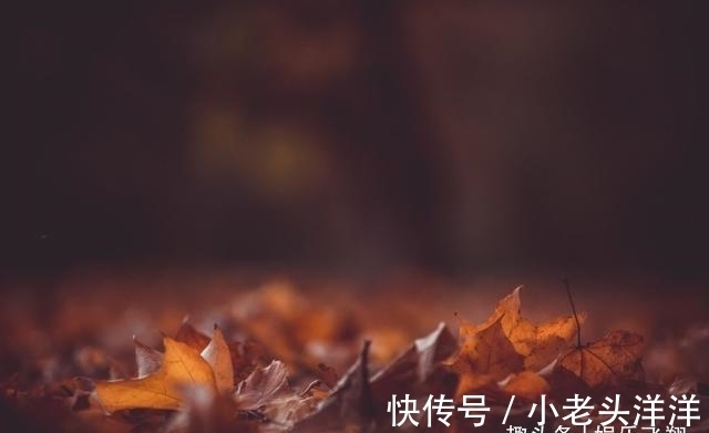 重情重义|未来4天，宁可伤心，扰乱心扉，试着接受，幸福美满，未来可期