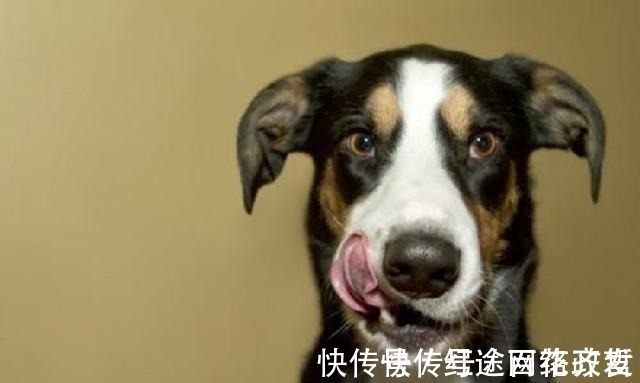 伯禽|历史上最尴尬的十大姓,你要是在这样的家庭,该如何取名字?