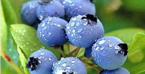 疏通血管|女性想要身体好，多吃几种食物，舒筋活络，促进血液循环