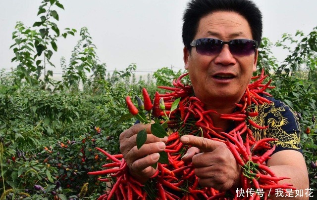辣王|“中国辣王”李永志,每天吃5斤辣椒配高度白酒,现在身体怎么样
