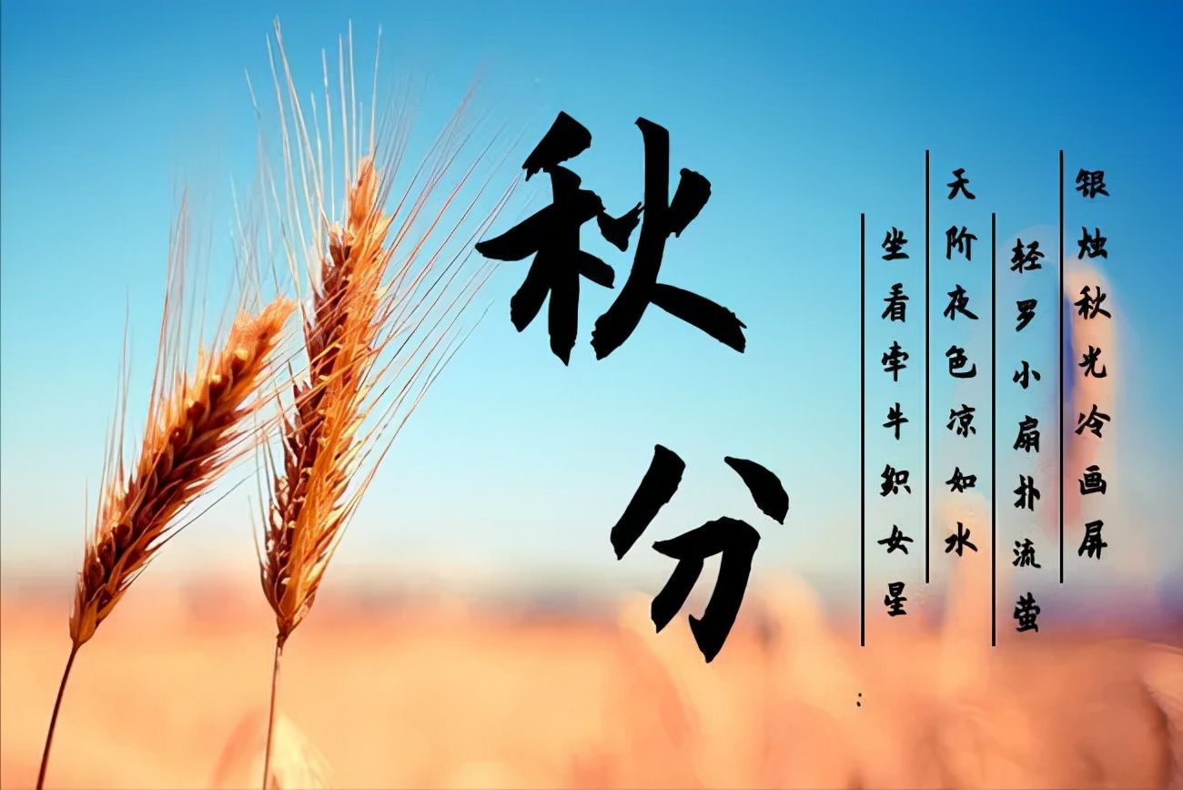 秋天&诗词丨又是一年秋分至，秋夜渐凉情渐长