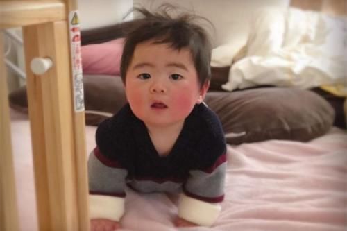 走红|妈妈晒娃丑照走红,宝宝用脸吃饭、擦窗户,网友:娃不要面子的吗