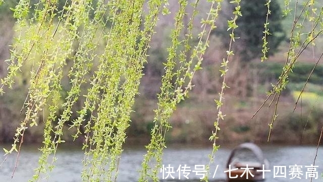 物道君$中国最美的十本书,一生至少读一次