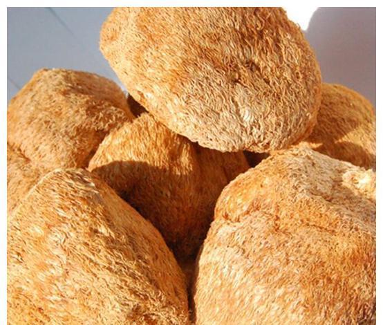 促进|11岁女童身高164公分,医生:2种食物是身高“加油站”,可