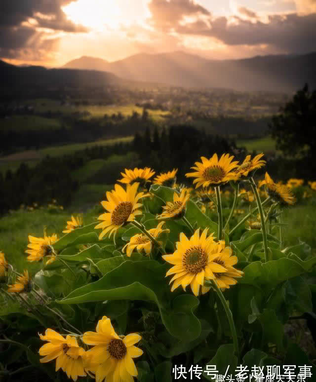 真爱|3天后,月老牵线,真爱降临,旧情复燃,爱火重燃,余生终不悔