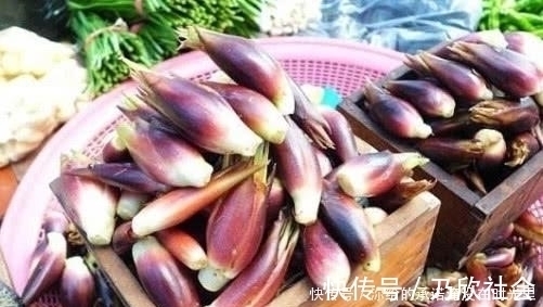 野菜|山上看到这“山珍”,不要错过了,它在市面上可是能卖到15一斤