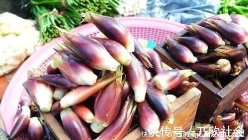 野菜|山上看到这“山珍”，不要错过了，它在市面上可是能卖到15一斤