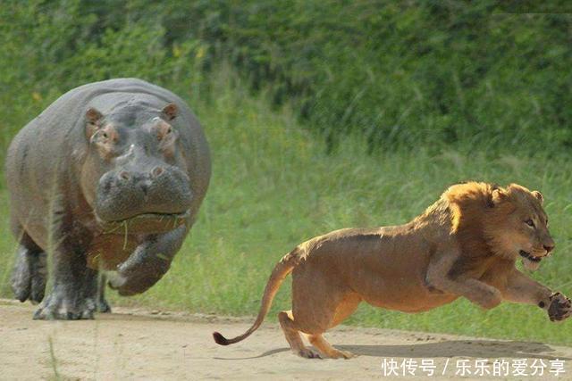 |沙雕动画,搞笑:大学生的周末安排,像极了那个时候的我们!