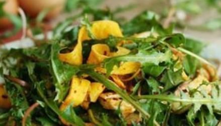 公英叶|蒲公英煮水喝，用叶子好还是根茎好？对身体会员什么效果？