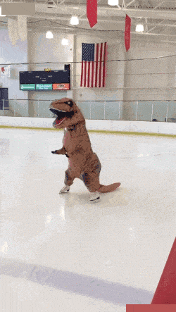 |搞笑GIF:哈哈,妹子你确定是在做俯卧撑吗?