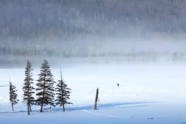 神话里|如果东北的雪景是童话，那北疆的雪景便是神话！