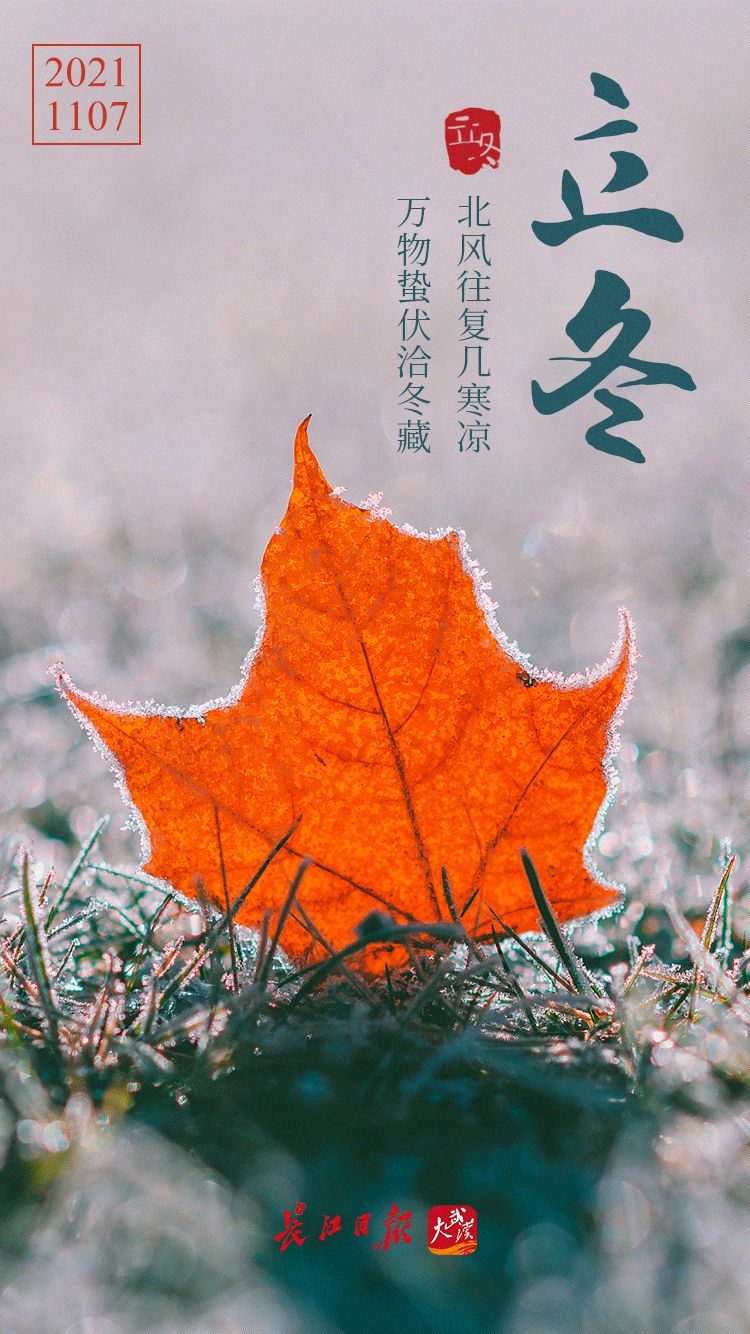 张莉#立冬：北风往复几寒凉，万物蛰伏洽冬藏｜海报