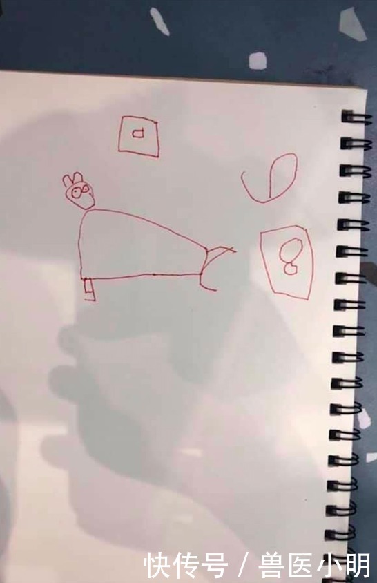 孩子|老师布置作业画猫,看完儿子的作品血压升高:跟看恐怖片似的