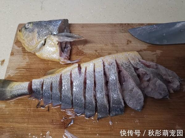 黄花鱼|它是被“误解”最多的鱼,浑身是宝,比甲鱼营养,6元1斤没人吃