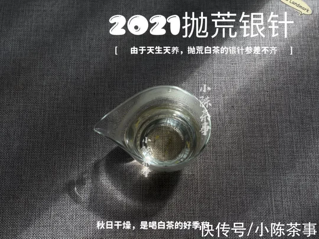 这才是我们小陈茶事的“双11”，是的，我们的，当然也是茶友们的