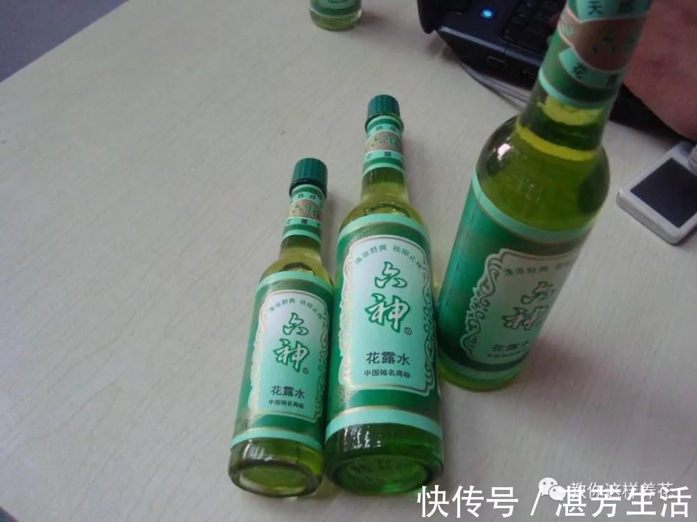 花盆里插1根筷子,解决了养花人的大难题,快试试看!