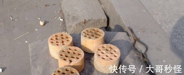 园艺新人适用的经验知识:将它们列入“养花配土”的原材料吧