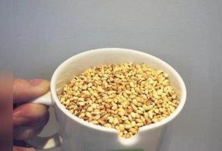 脾胃|抓1把大米炒一炒,每周吃1次,强健脾胃,祛除湿气,养一身正气!