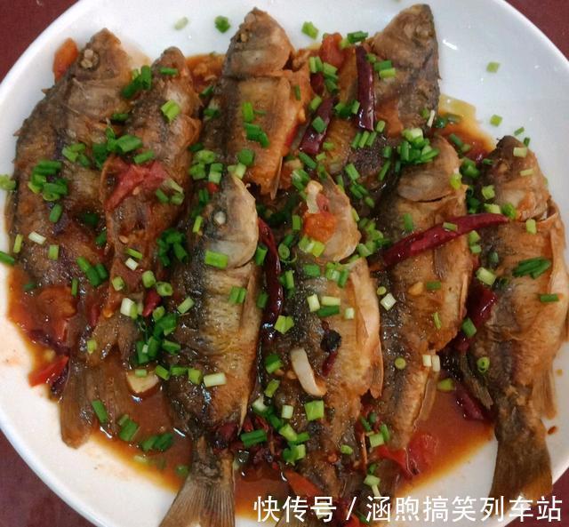 红鱼来袭?佛山石湾河内小红鱼成群,钓友:能吃吗?