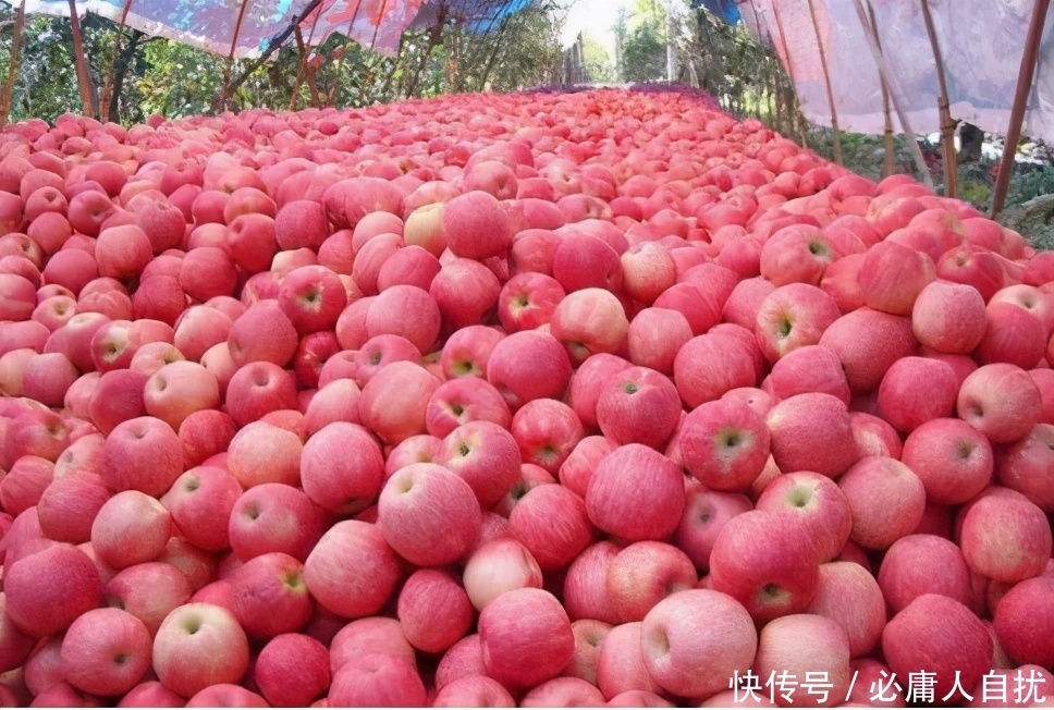 排毒|女性到了中年,常吃3种食物,补益气血,排毒抗衰,预防妇科病