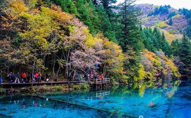 焦距|九寨沟名扬四海，但不适合走马观花，请跟随镜头仔细看看