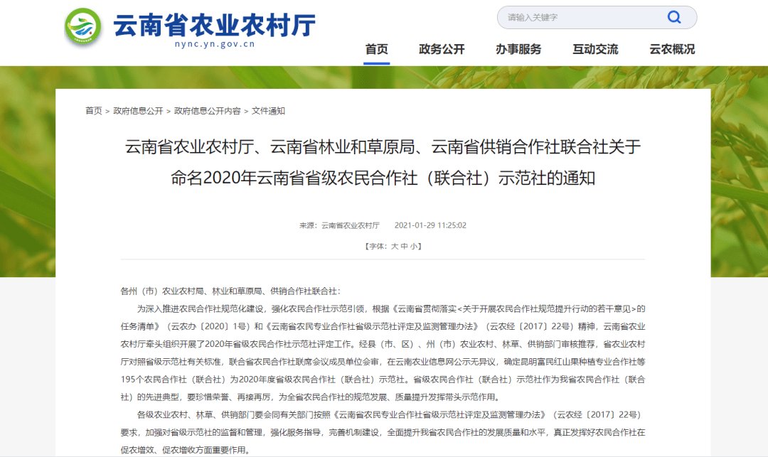 淄川区农民专业合作社联合社：现代农业发展的新引擎