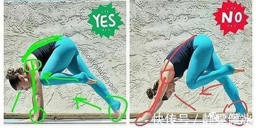 胸腔|为什么瑜伽练习不能照葫芦画瓢？看过这些图你就懂了…