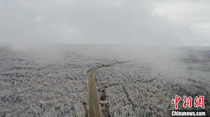 今秋|“神州北极”迎今秋首场雪 “林海”一夜变“雪海”