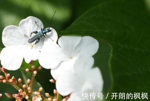 发胖|夏天是最佳减肥时节，你的体重为什么不降反升答案在自己身上！