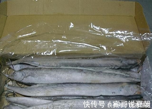 带鱼|想买到优质的带鱼靠经验,记住“4买3不买”,避免上当受骗!