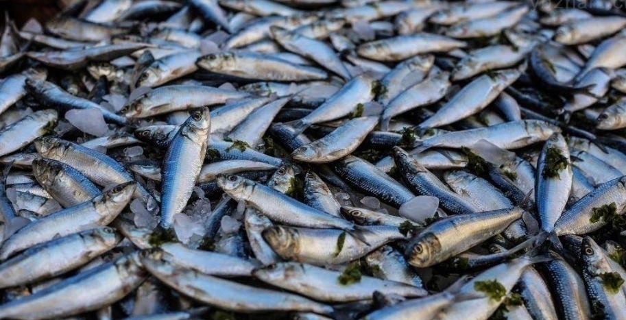 曲辕犁@古代闹饥荒时,为何百姓放着河里的鱼虾不抓,反而吃草根啃树皮?