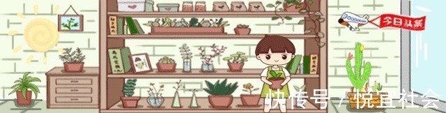 喜欢养多肉,从便宜的入手,新手必备四种多肉,又便宜又好养