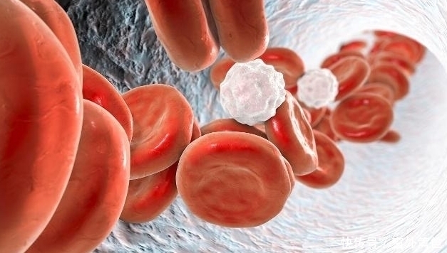 早上起床后,空腹喝水对身体是好,还是坏?很