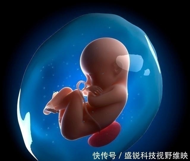 发育|怀孕后,若孕妈有3个“特殊”表现,说明胎儿很聪明,恭喜你