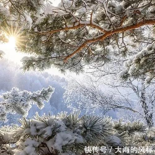 七律@平水韵七律.仲冬晨望.子月晨曦如水清,万柯疏朗黄鸟鸣