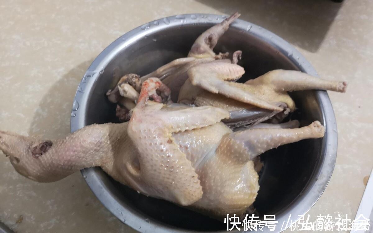 滋补|一鸽胜九鸡,炖鸽子汤要焯水吗?老师傅教你一招,汤鲜味美营养高