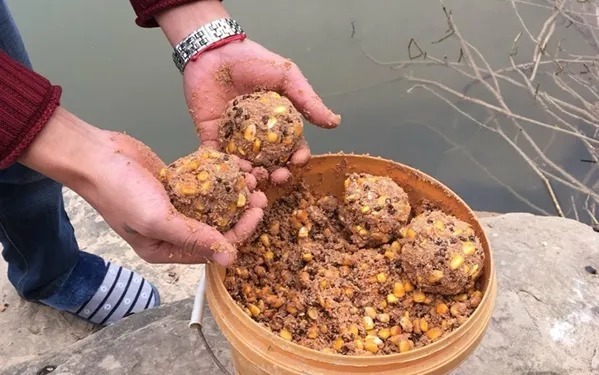 初冬时,九成人只会一味打大窝,少了二种钓法,难怪钓不到大鲫鱼