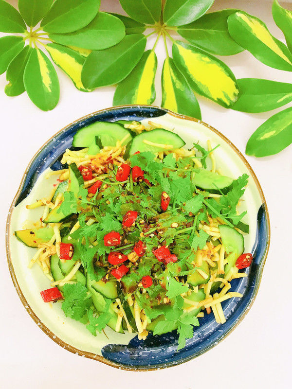 香菜|鱼腥草拌青瓜